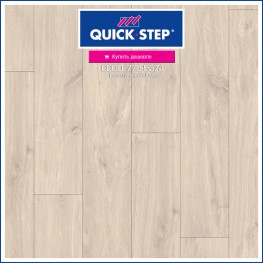 Кубинский дуб CLM1655